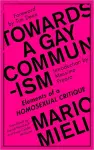 Towards a Gay Communism cover
