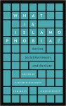 What is Islamophobia? cover