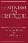 Feminism as Critique cover