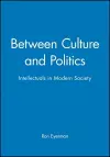 Between Culture and Politics cover