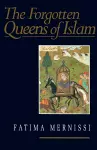 The Forgotten Queens of Islam cover