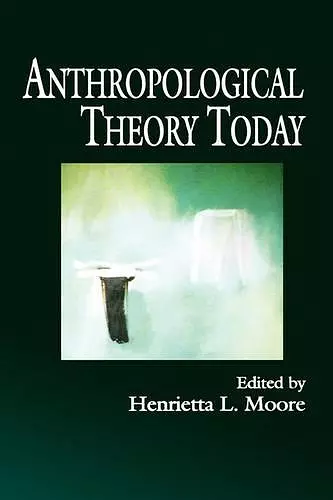 Anthropological Theory Today cover