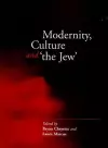 Modernity, Culture and 'The Jew' cover