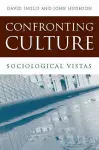 Confronting Culture cover