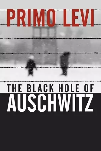 The Black Hole of Auschwitz cover