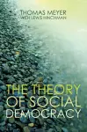The Theory of Social Democracy cover