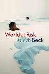 World at Risk cover