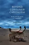 Beyond Consumer Capitalism cover