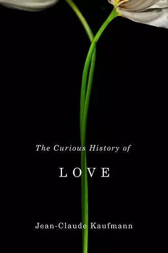 The Curious History of Love cover