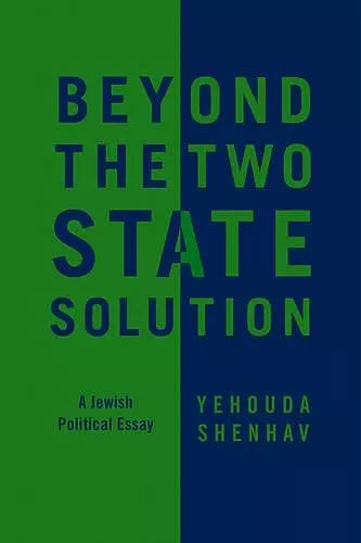 Beyond the Two-State Solution cover