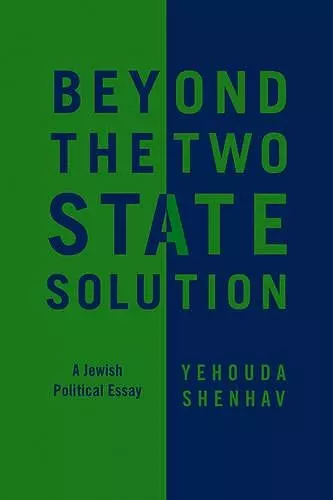 Beyond the Two-State Solution cover