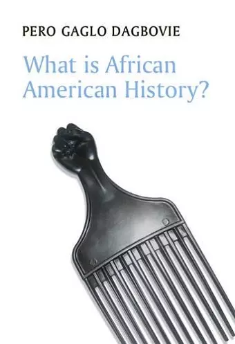 What is African American History? cover