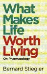 What Makes Life Worth Living cover