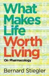 What Makes Life Worth Living cover