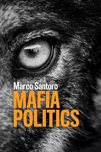 Mafia Politics cover