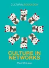 Culture in Networks cover