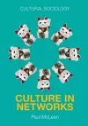 Culture in Networks cover