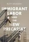 Immigrant Labor and the New Precariat cover
