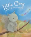 Little Grey and the Great Mystery cover