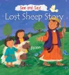 Lost Sheep Story packaging