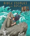 Bible Stories for Boys cover