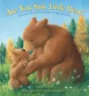 Are You Sad, Little Bear? cover