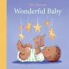 Wonderful Baby cover