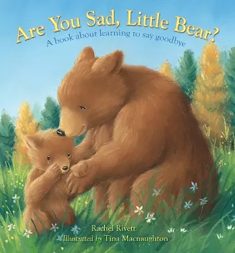Are You Sad, Little Bear? cover
