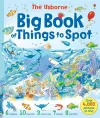 Big Book of Things to Spot cover