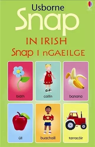 Snap in Irish cover