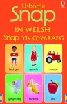 Snap in Welsh cover