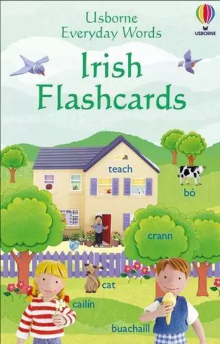 Everyday Words in Irish Flashcards cover