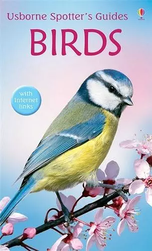 Birds cover