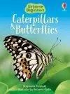 Caterpillars and Butterflies cover