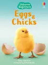 Eggs and Chicks cover