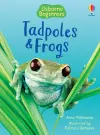 Tadpoles and Frogs cover