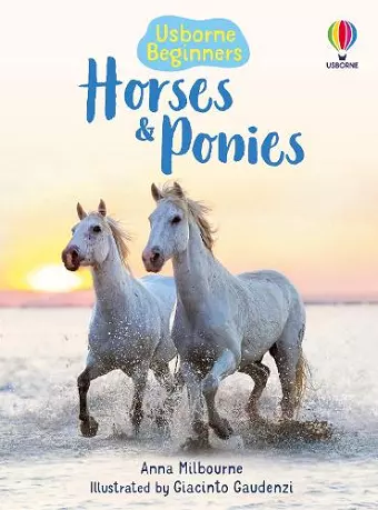 Horses and Ponies cover