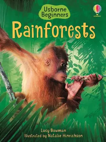 Rainforests cover