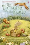 The Tortoise and the Eagle cover