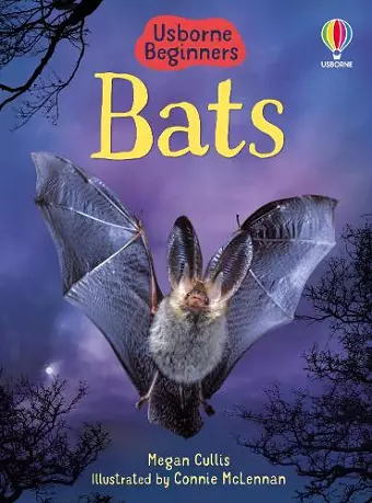 Bats cover