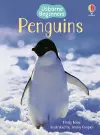 Penguins cover