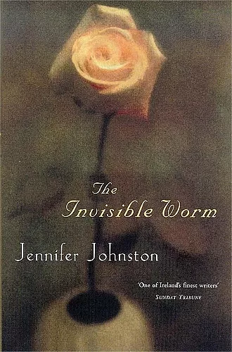 The Invisible Worm cover