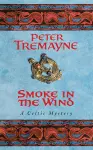 Smoke in the Wind (Sister Fidelma Mysteries Book 11) cover