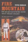 Fire Mountain cover