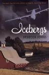 Icebergs cover
