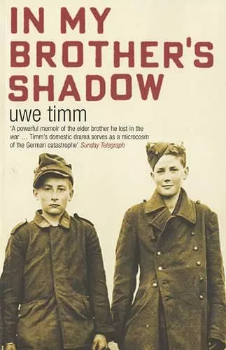 In My Brother's Shadow cover