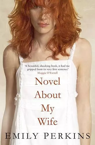 Novel About My Wife cover