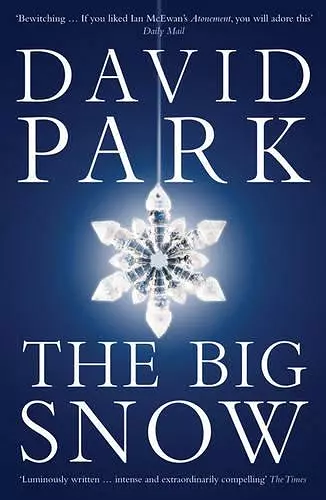 The Big Snow cover