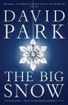 The Big Snow cover