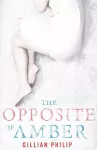 The Opposite of Amber cover